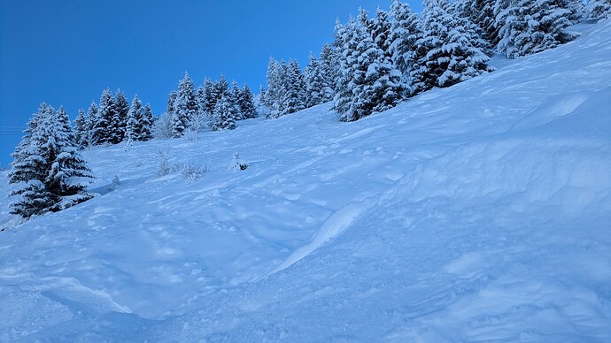 PXL_20260129_090716608