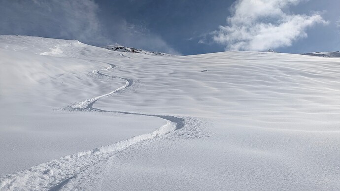 PXL_20260315_081756926